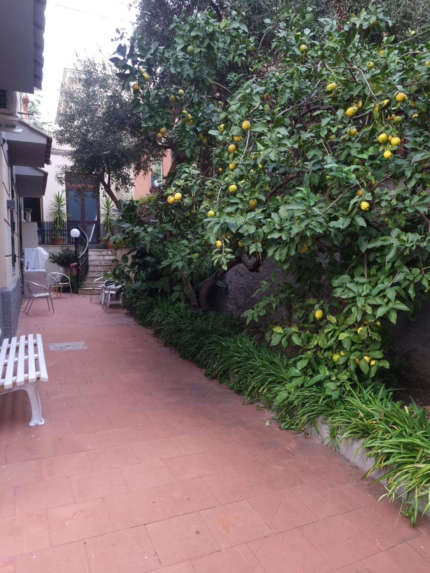 La Casetta Di Oppi Appartamento