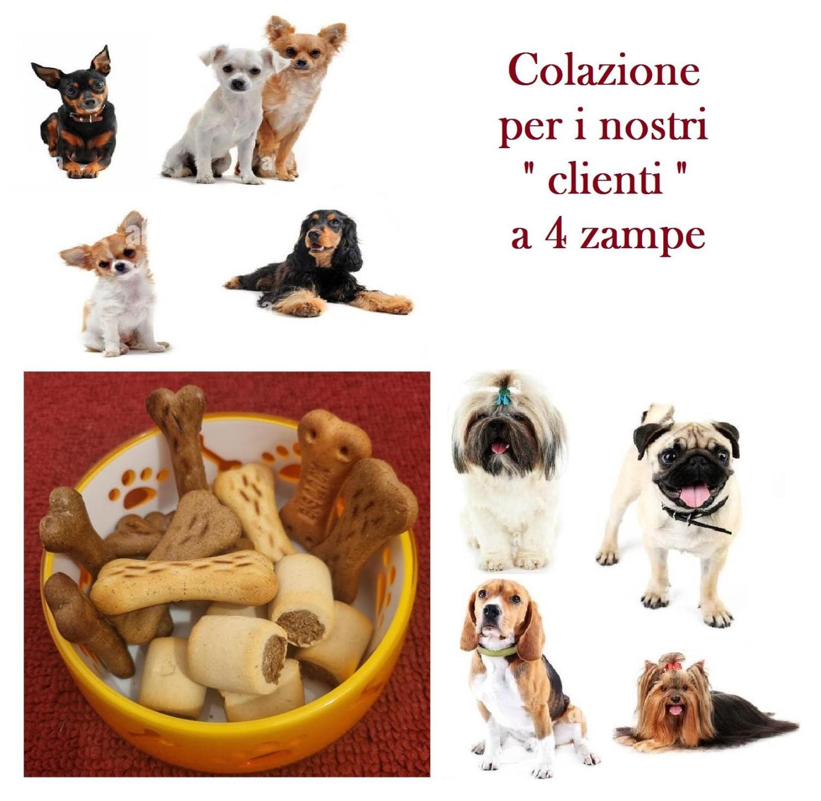 La Casetta Di Oppi Appartamento *